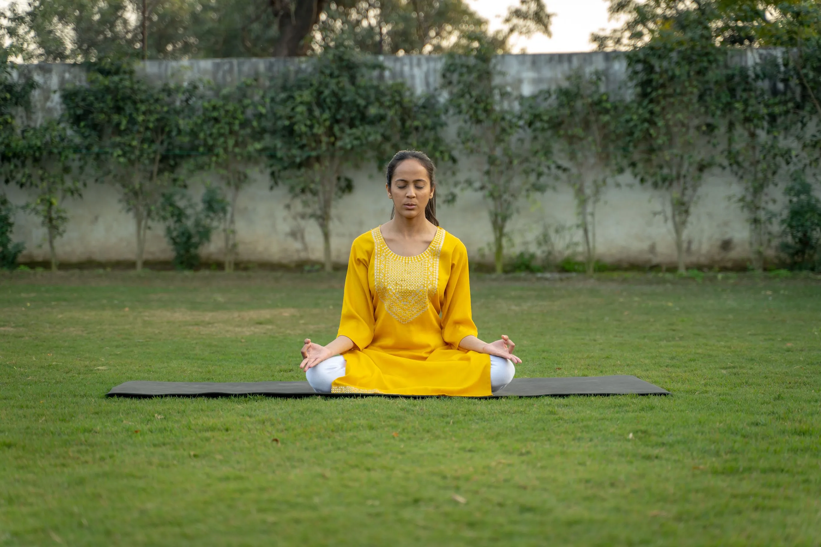 mediation