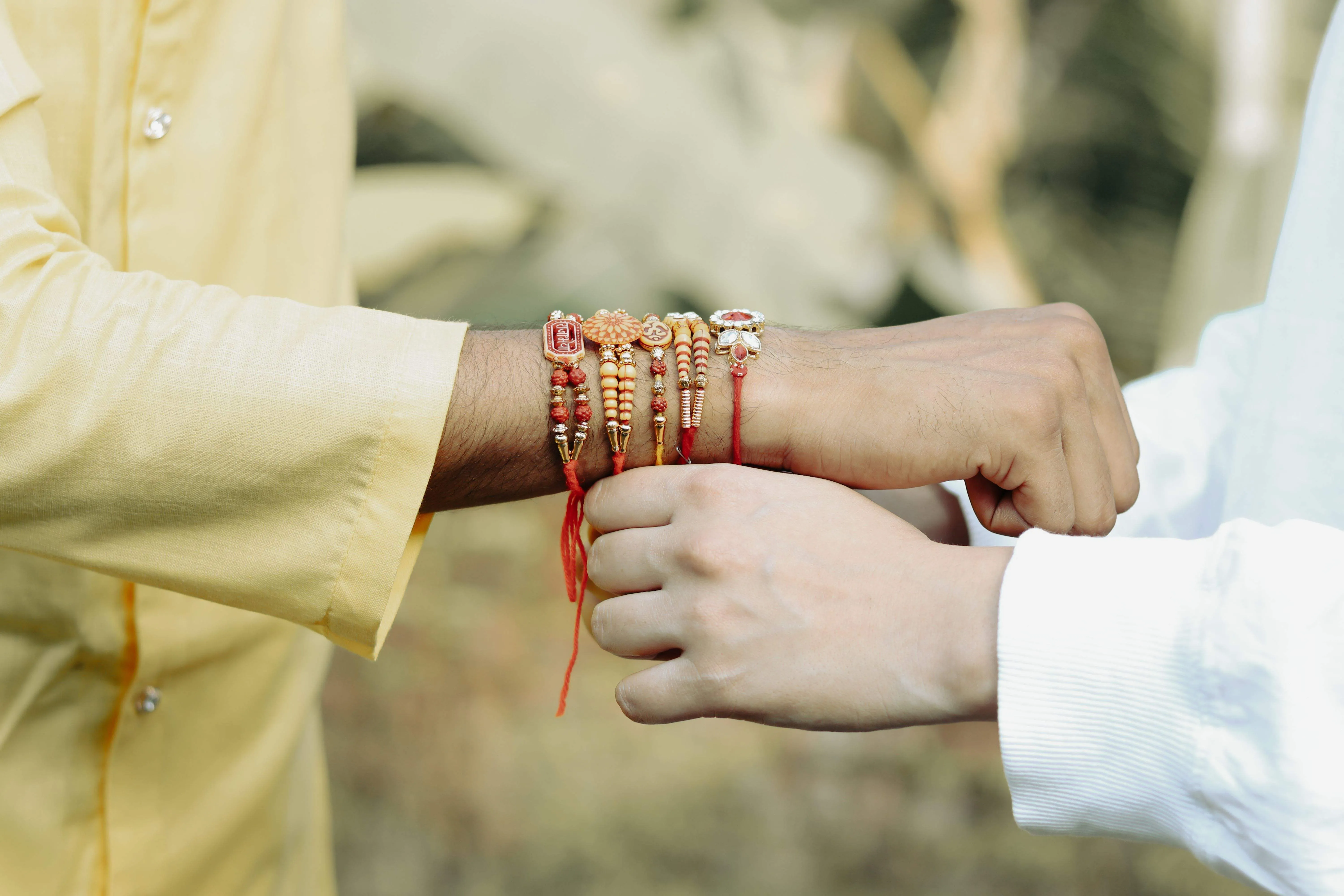 raksha bandhan compressed