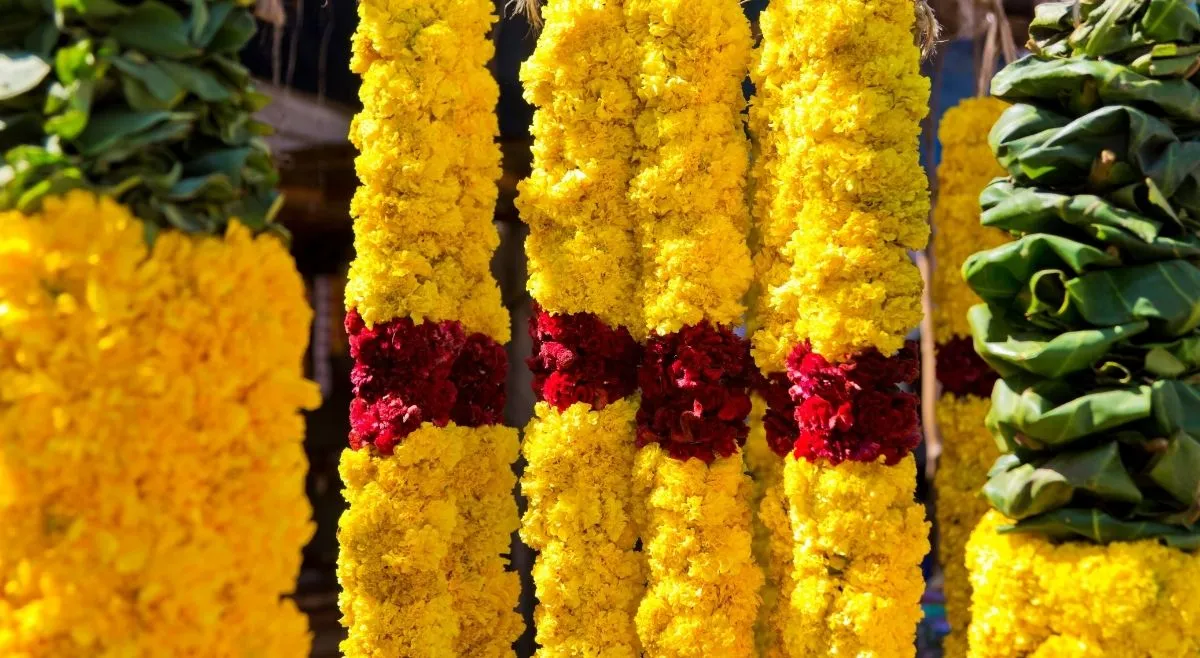 Decorate With Marigold Flowers And Torans