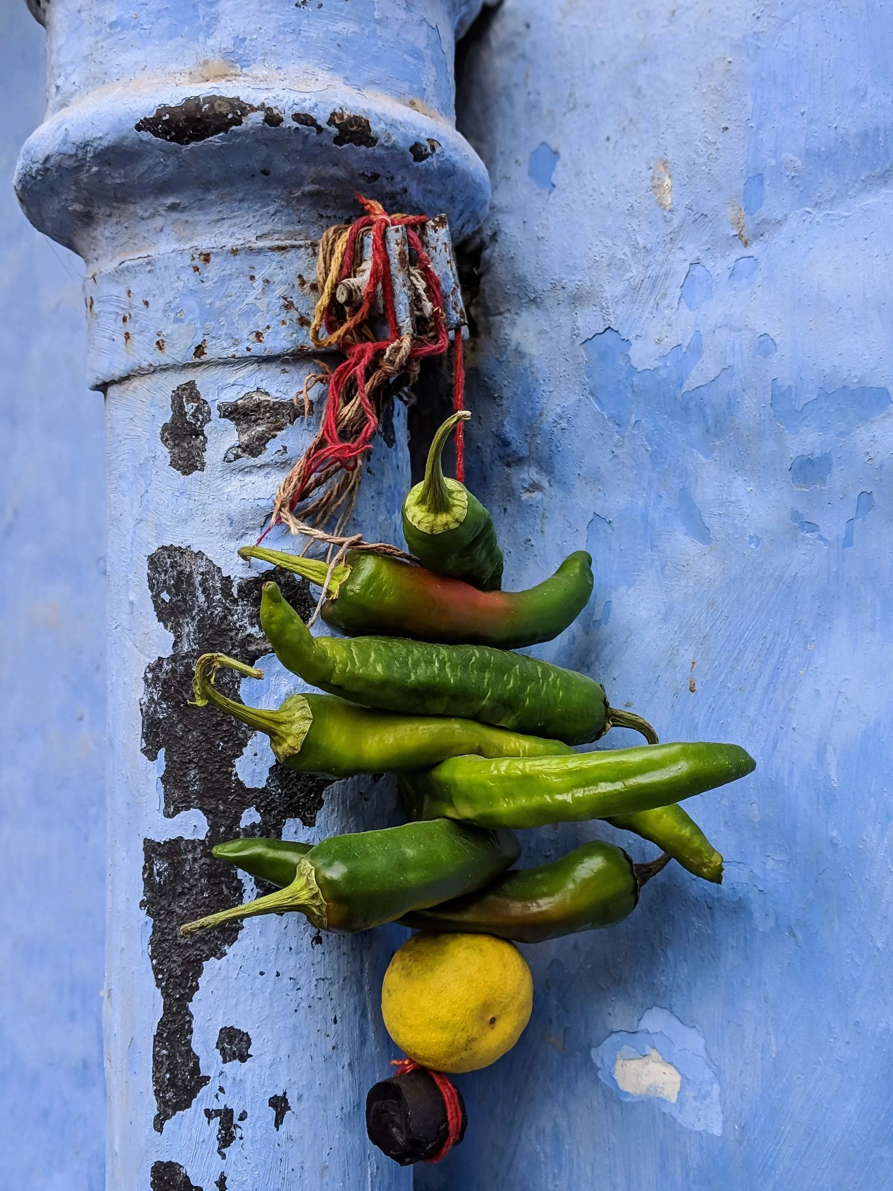 hanging chillies