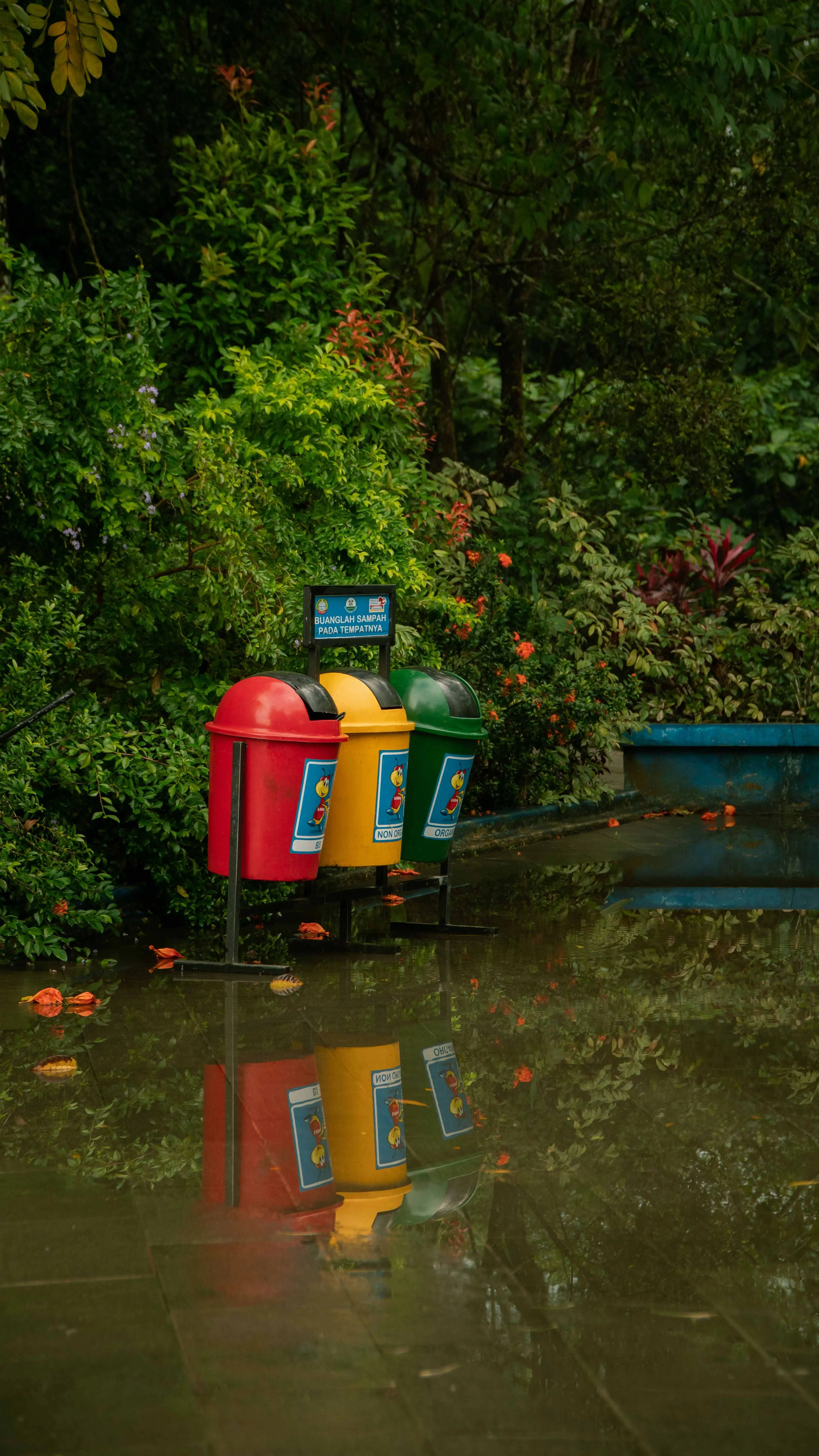 dustbin near plants