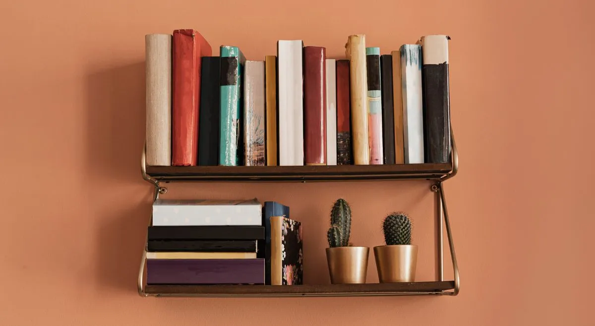 Minimalist Floating BookShelf