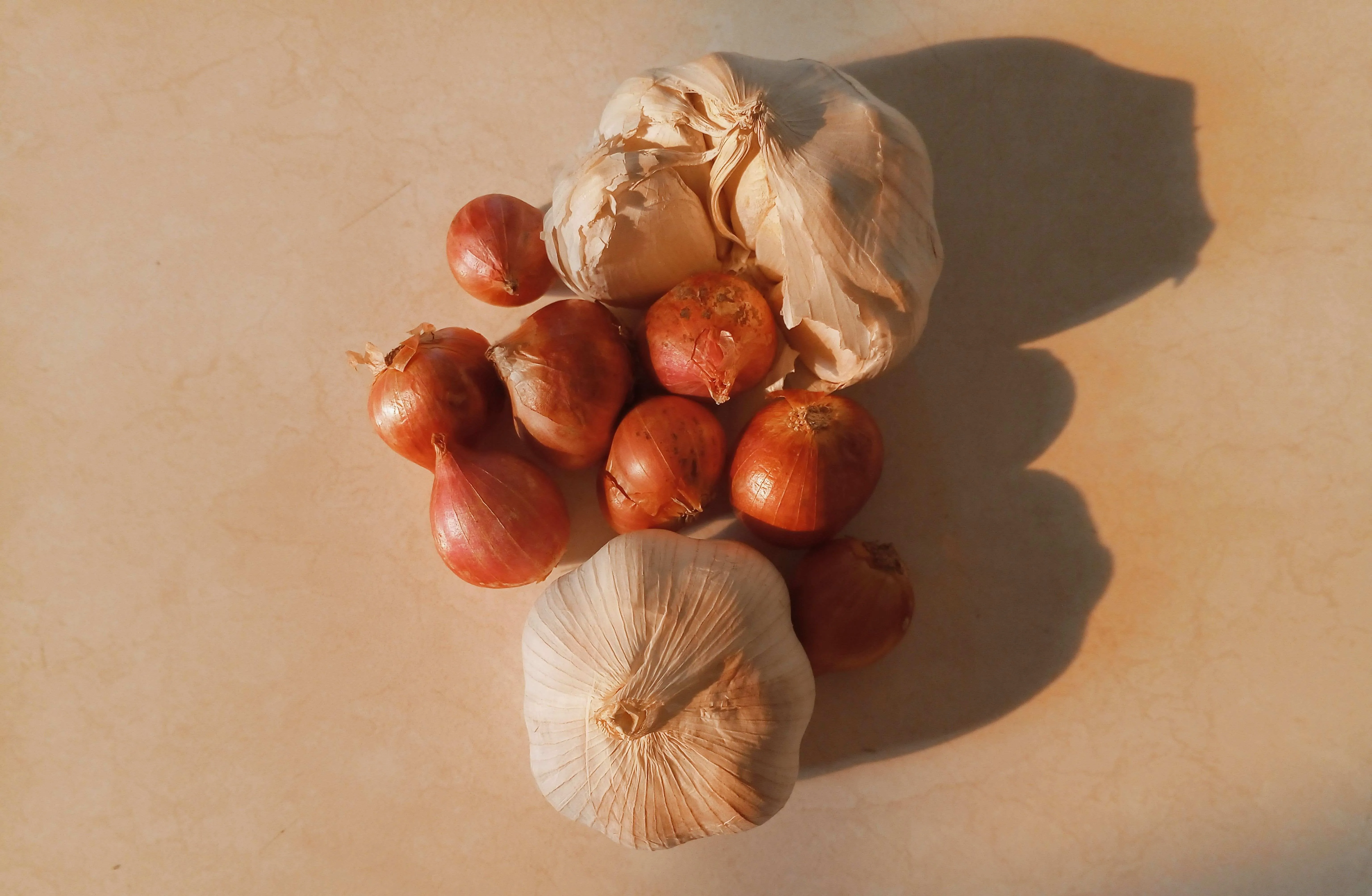 onion and garlic