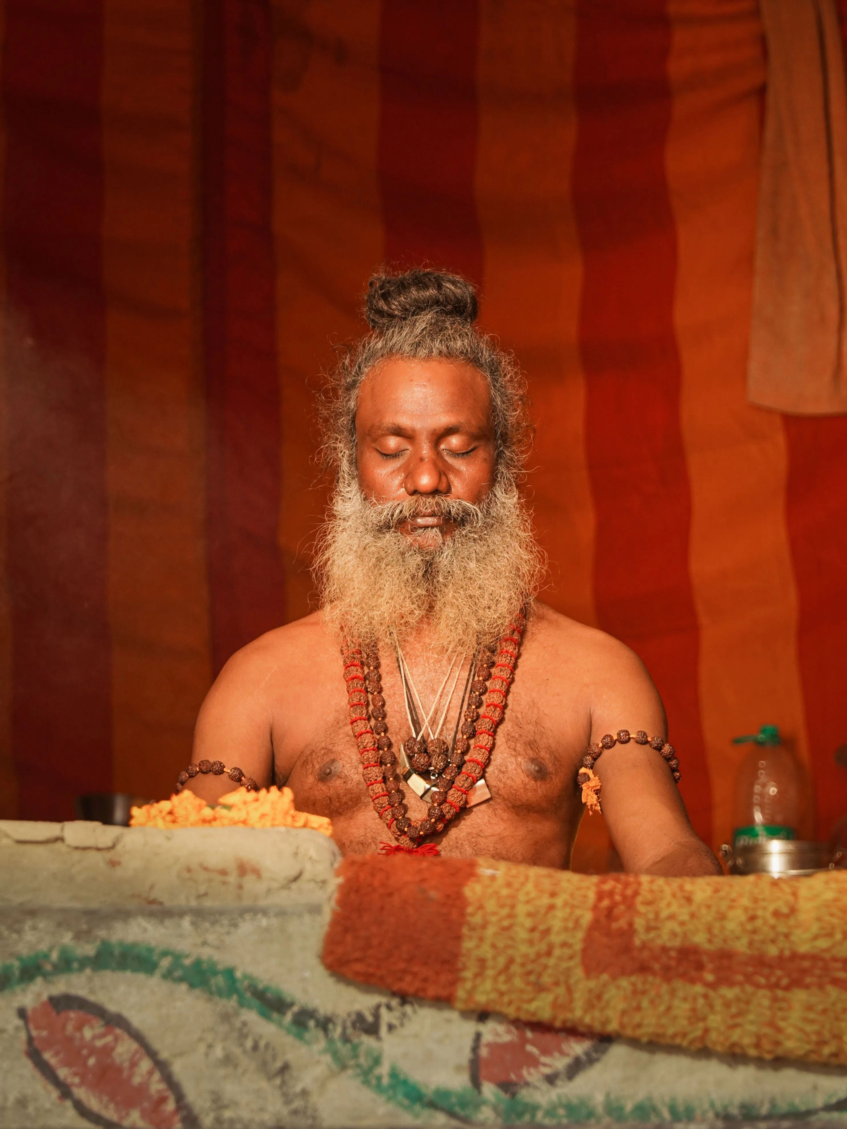 rudraksha utiklsation