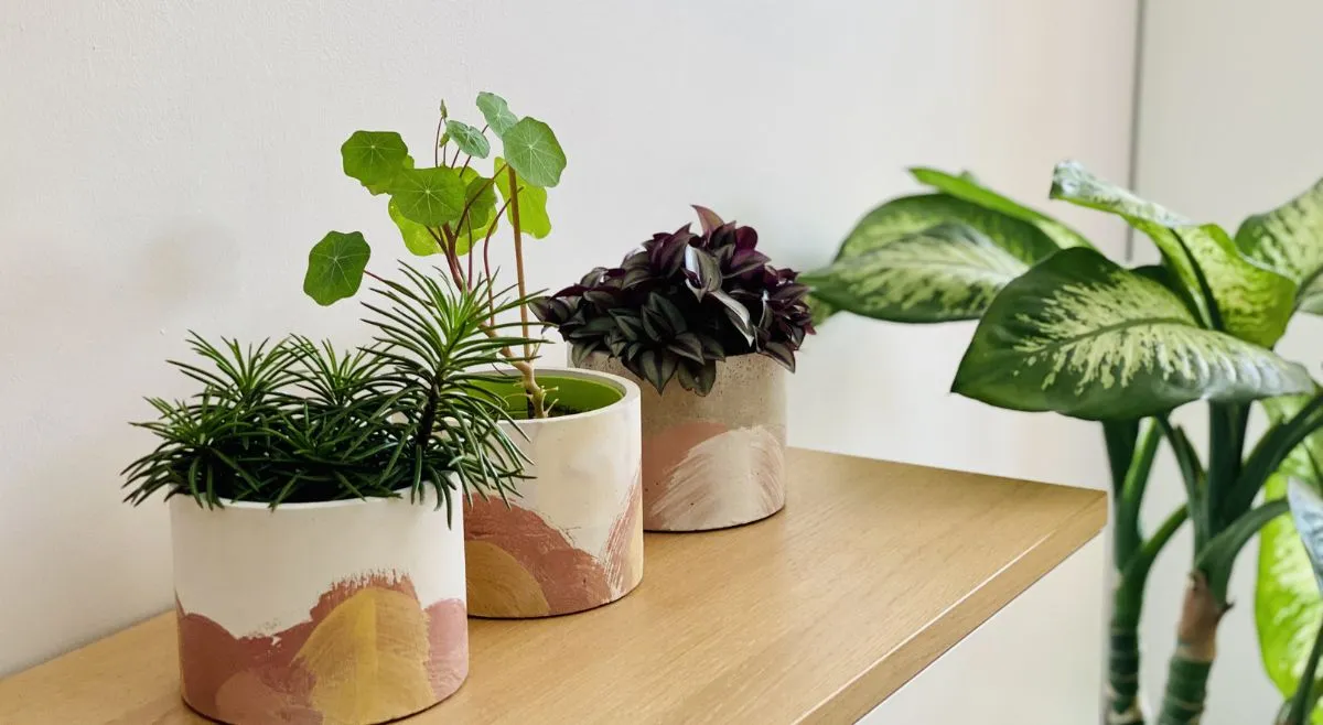 Micro Gardening