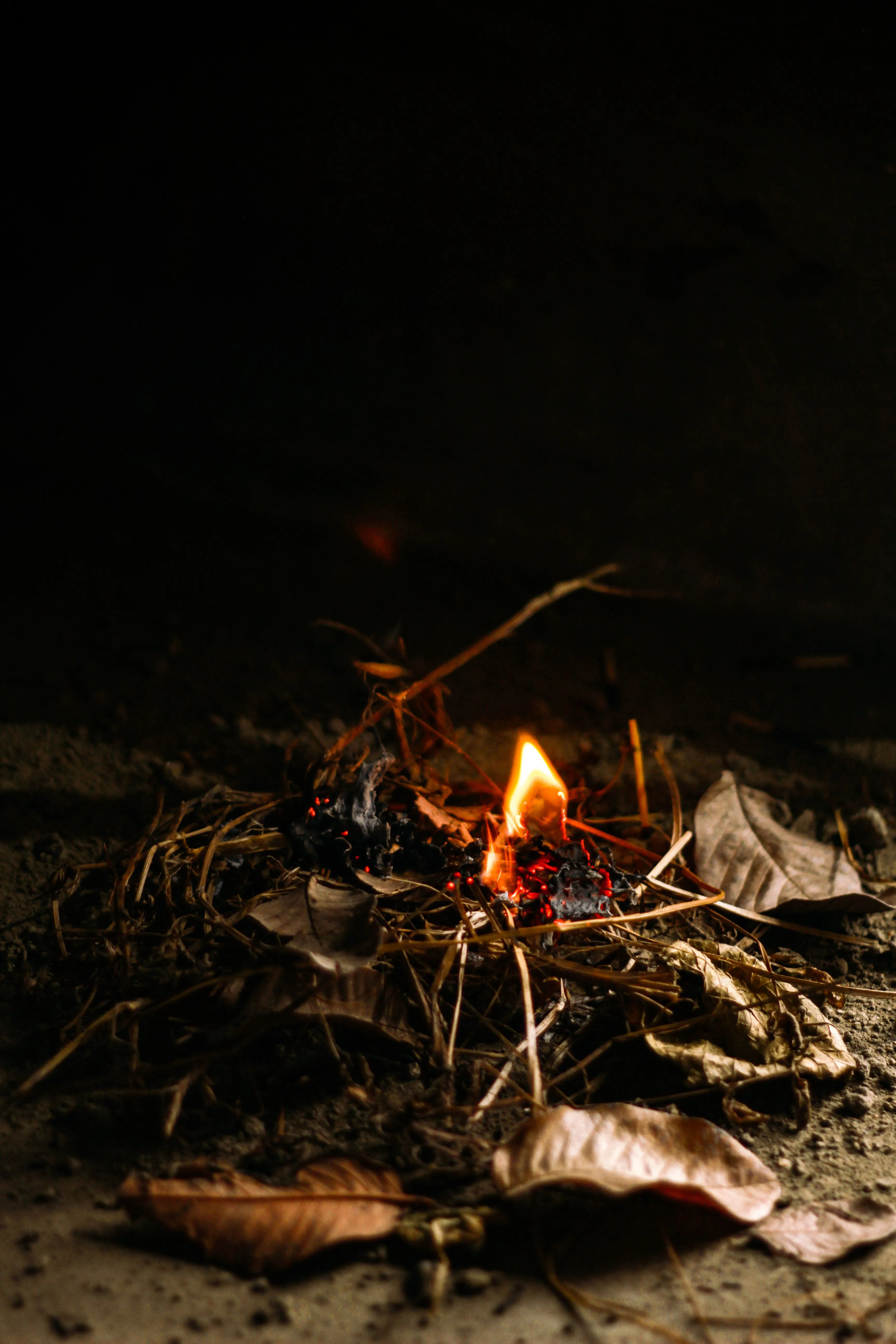 bay leaf burning