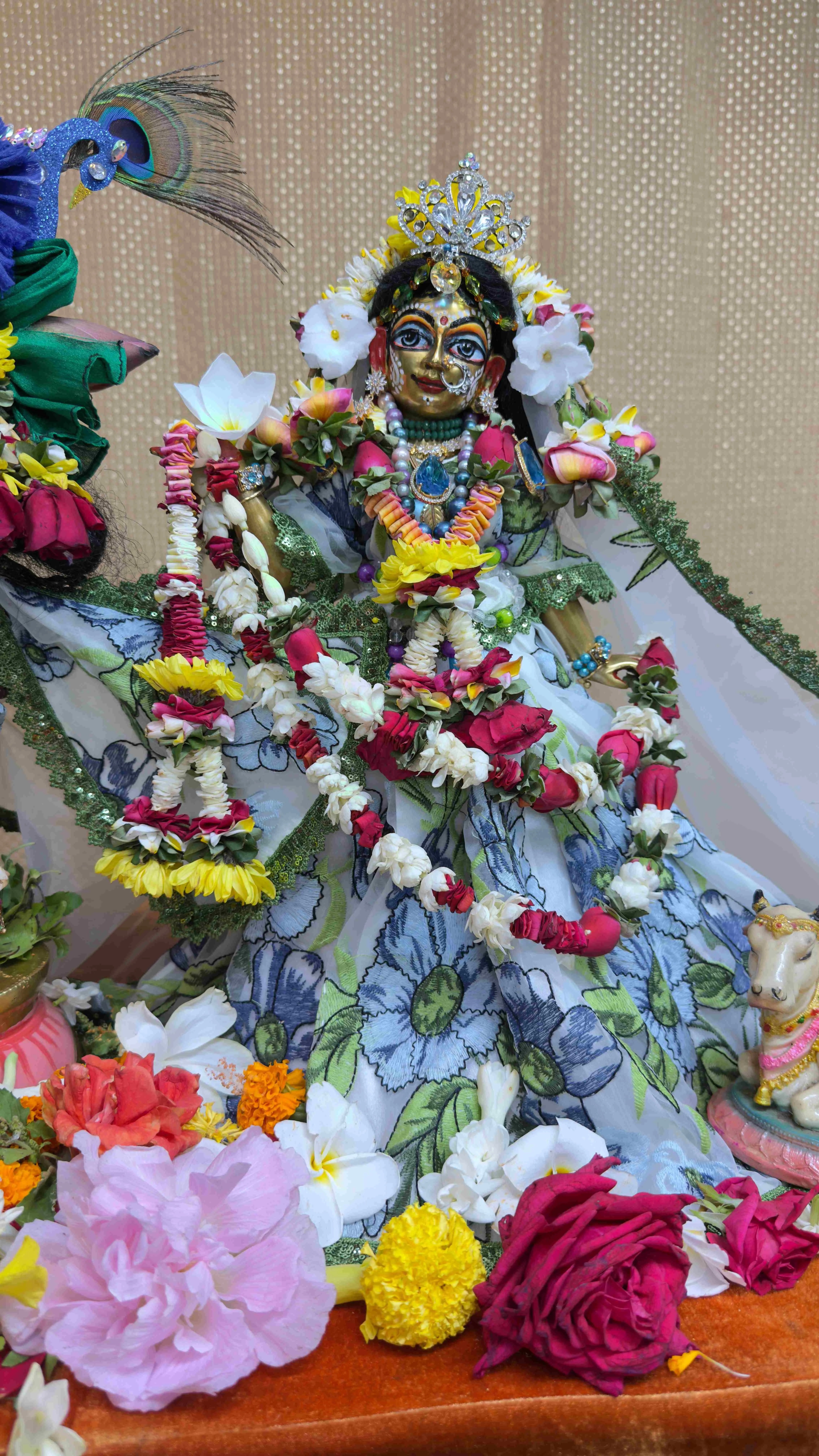 radha rani photo