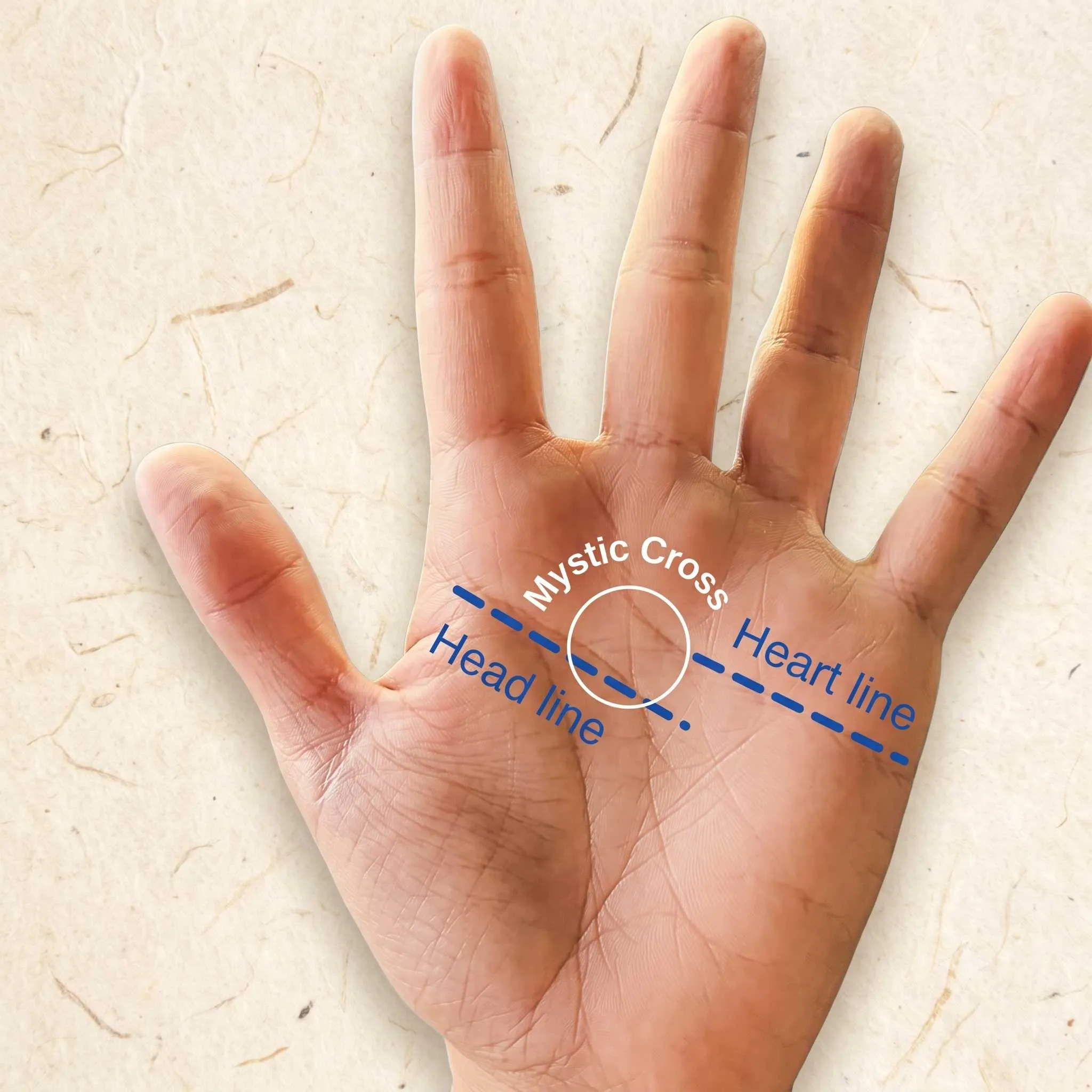 x sign