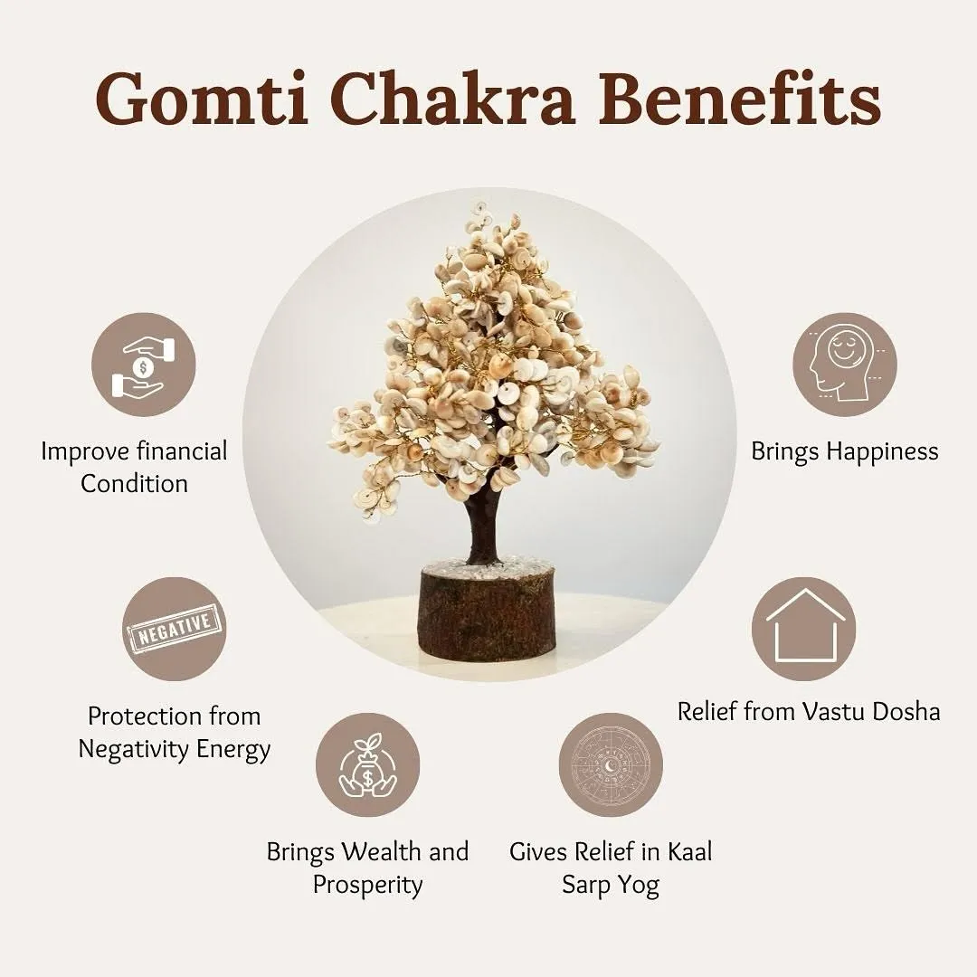 gomti chakra