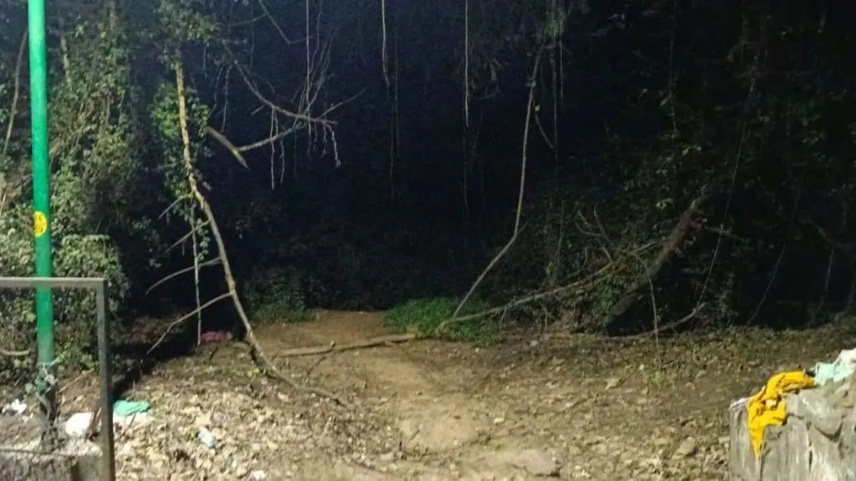 Jahanpanah City Forest,