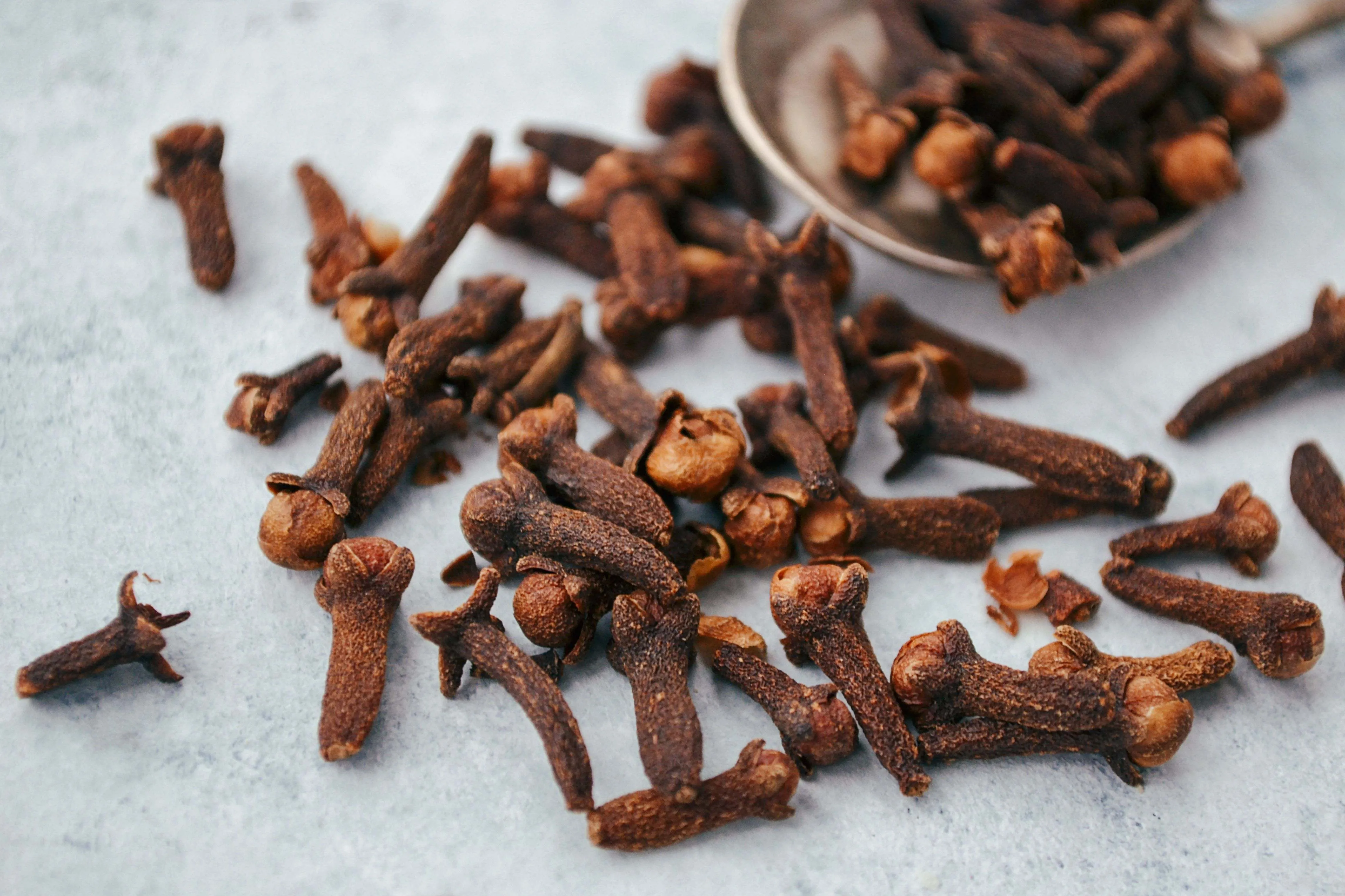 clove