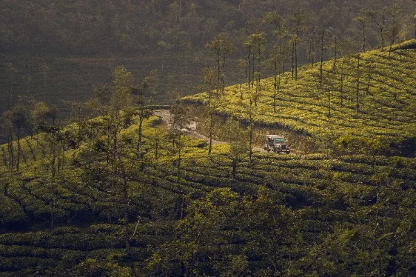 munnar1mb