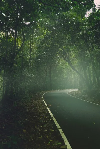 kerala1mb