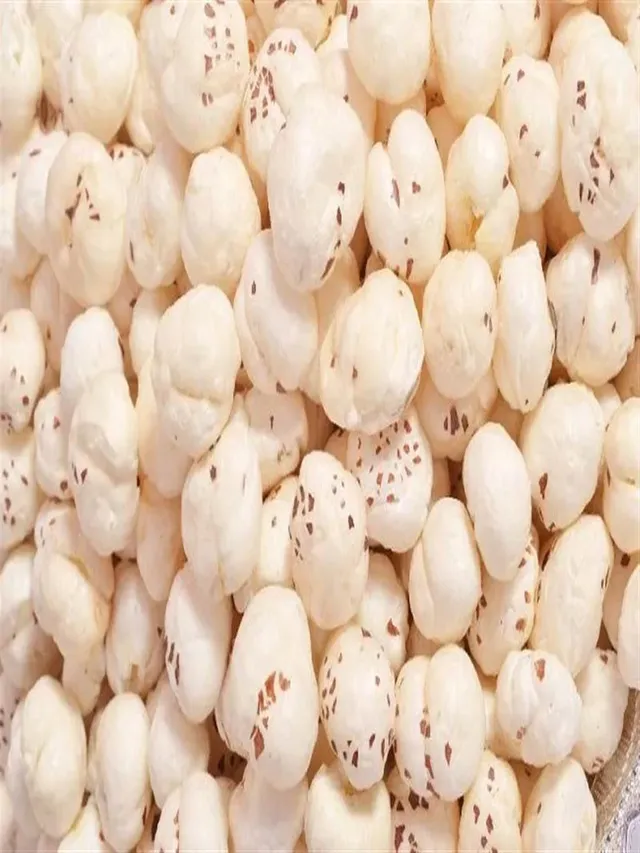 up-to-implement-new-makhana-development-scheme-training-buyer-seller-meets-planned