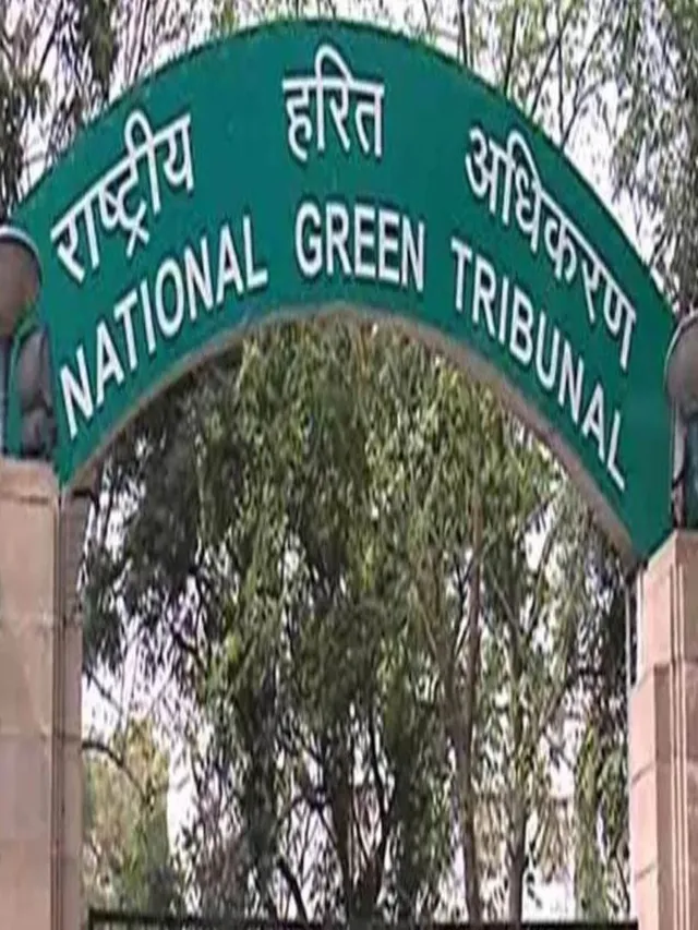 ngt-closes-delhi-park-damage-case-after-dmrc-pwd-pay-environmental-fines