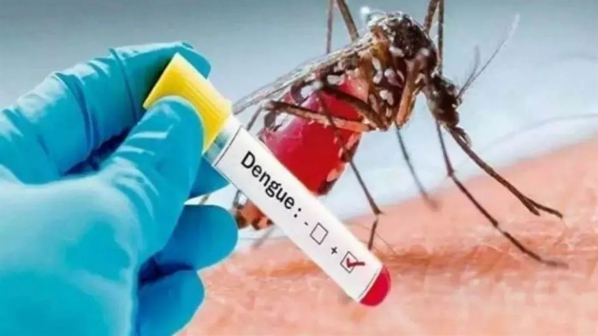 ghaziabad-dengue-hits-152-in-city-malaria-rises-to-80-in-villages-details