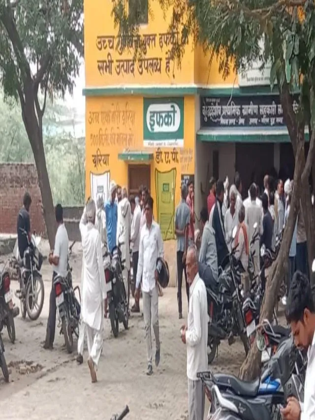 dap-shortage-in-jewar-farmers-allege-black-market-rabi-crops-at-risk