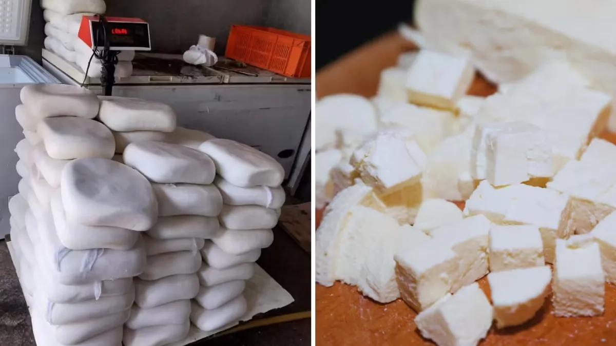 ghaziabad-food-safety-department-seizes-240-kg-substandard-paneer-110-kg-sweets-ahead-of-diwali
