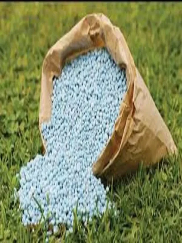 up-govt-orders-investigation-into-unusual-fertiliser-sales-despite-adequate-stock