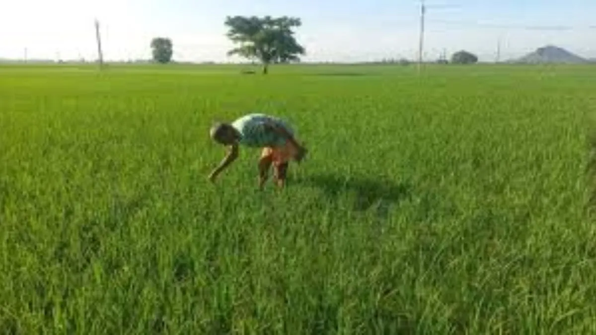uttarakhand-farmers-to-benefit-from-pilot-projects-addressing-crop-protection-cold-storage-and-technology-use
