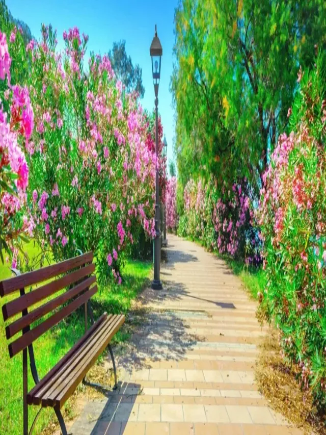 noida-authority-set-to-revise-ved-van-park-winter-timings-for-better-public-access