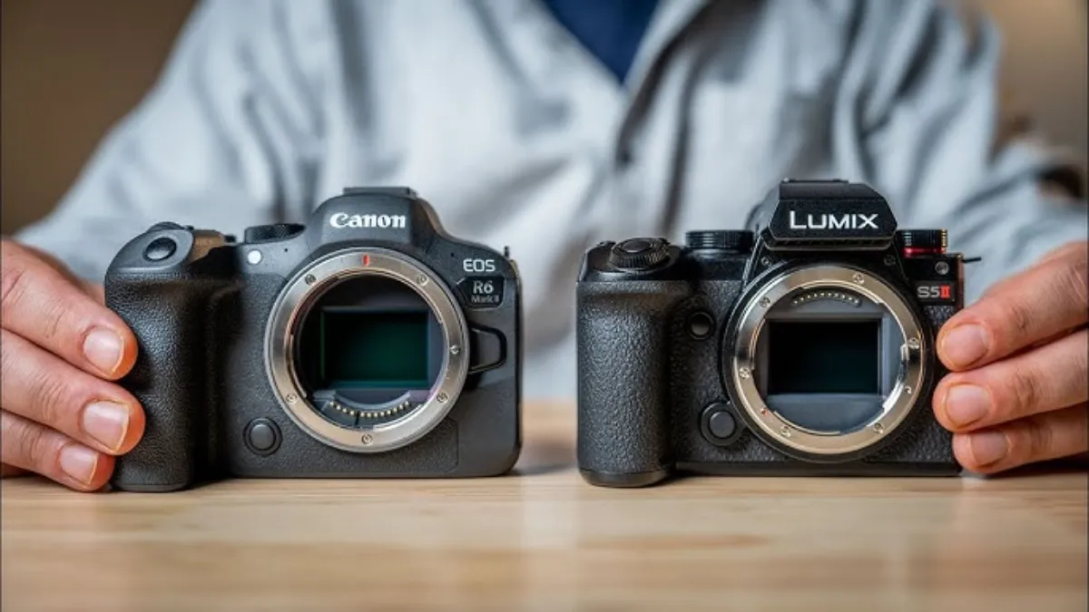 Canon EOS Vs Panasonic LUMIX 