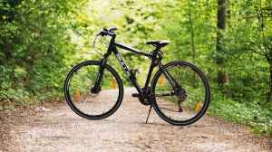 Best Of Bicycle Brands