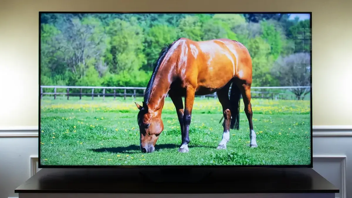 Best TV 