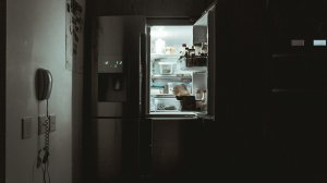 Inverter Vs Non Inverter Fridge