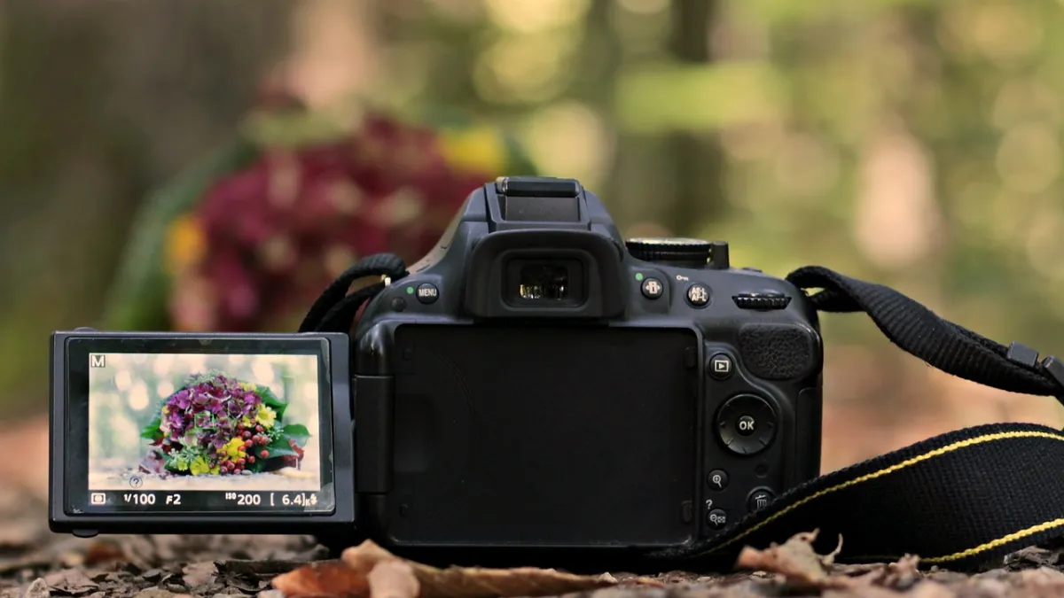 Best Mirrorless Cameras
