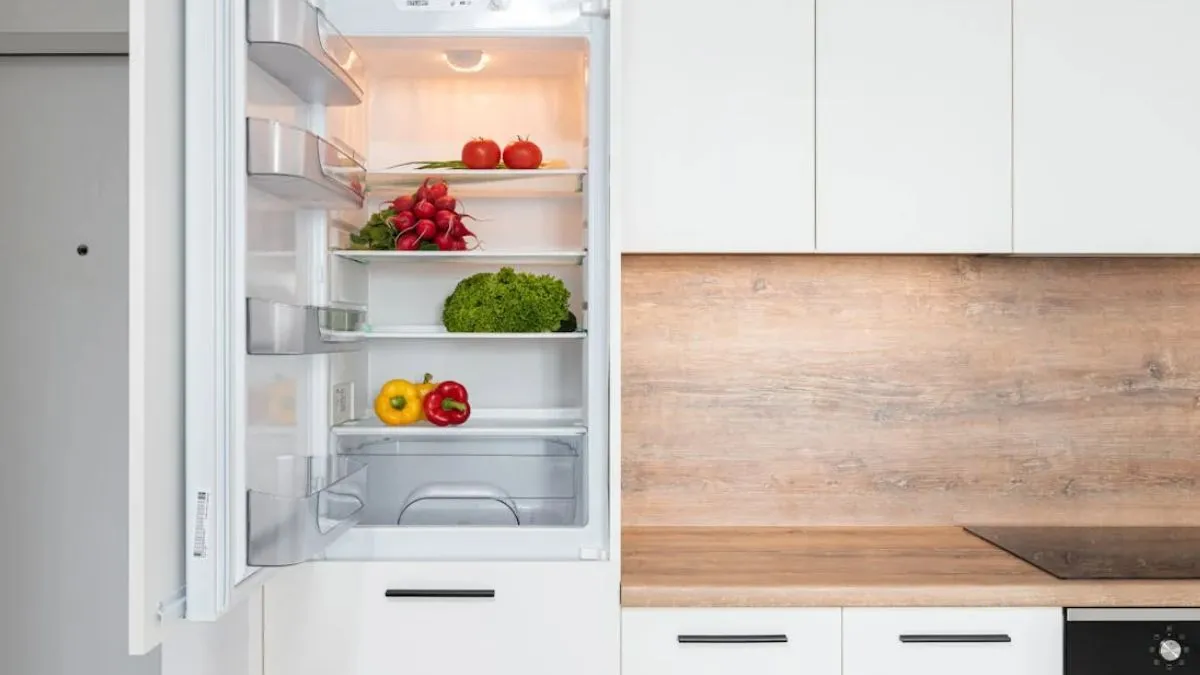 Samsung Vs Haier Refrigerator