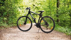 What are the Best Mountain Bikes for Beginners? Top Picks to Keep Your Ride Smooth 