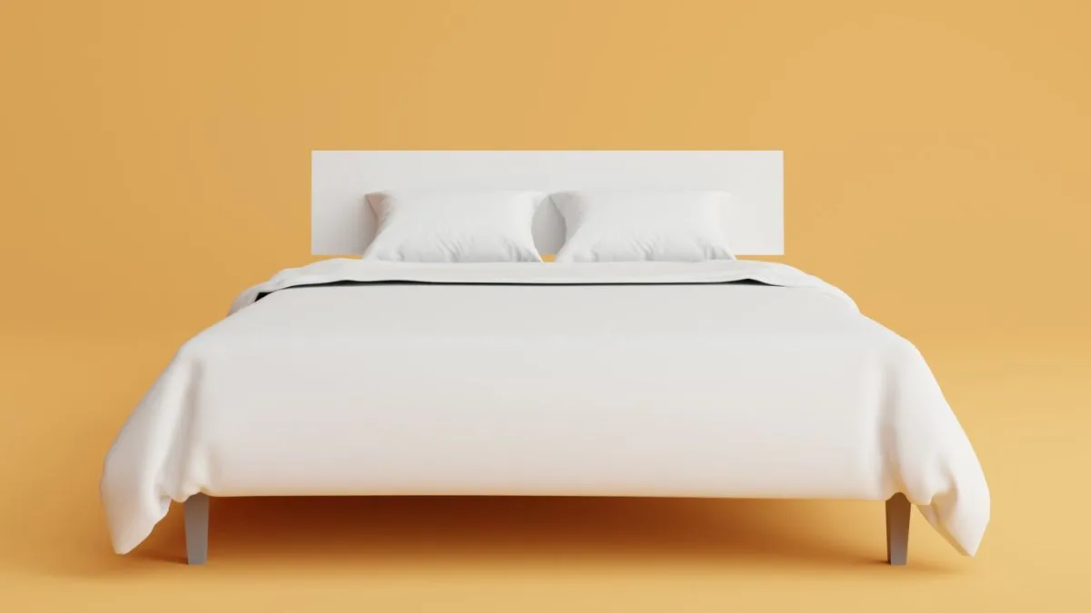 Top Mattress in India