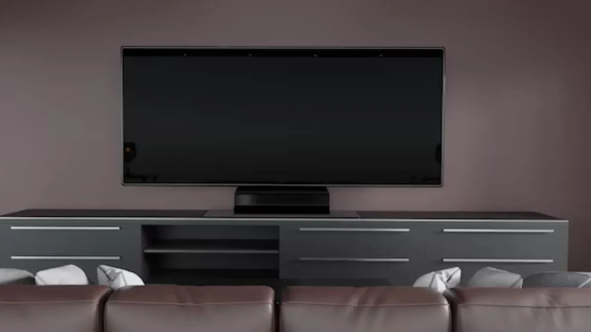 65 Inch TV