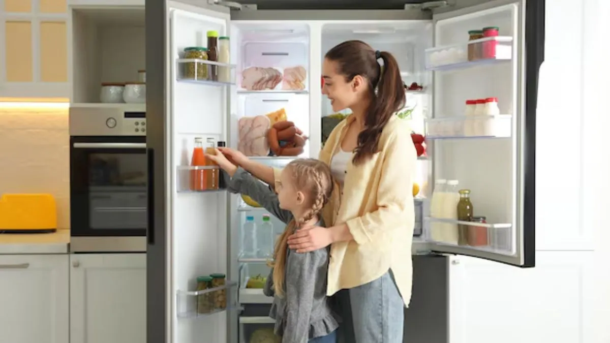 Refrigerators Suitable For Metropolitan Cities