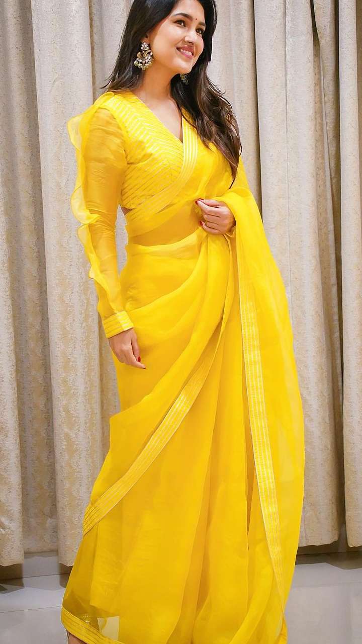 Vani Bhojan saree stills at Oh My Kadavule Success meet - South Indian  Actress