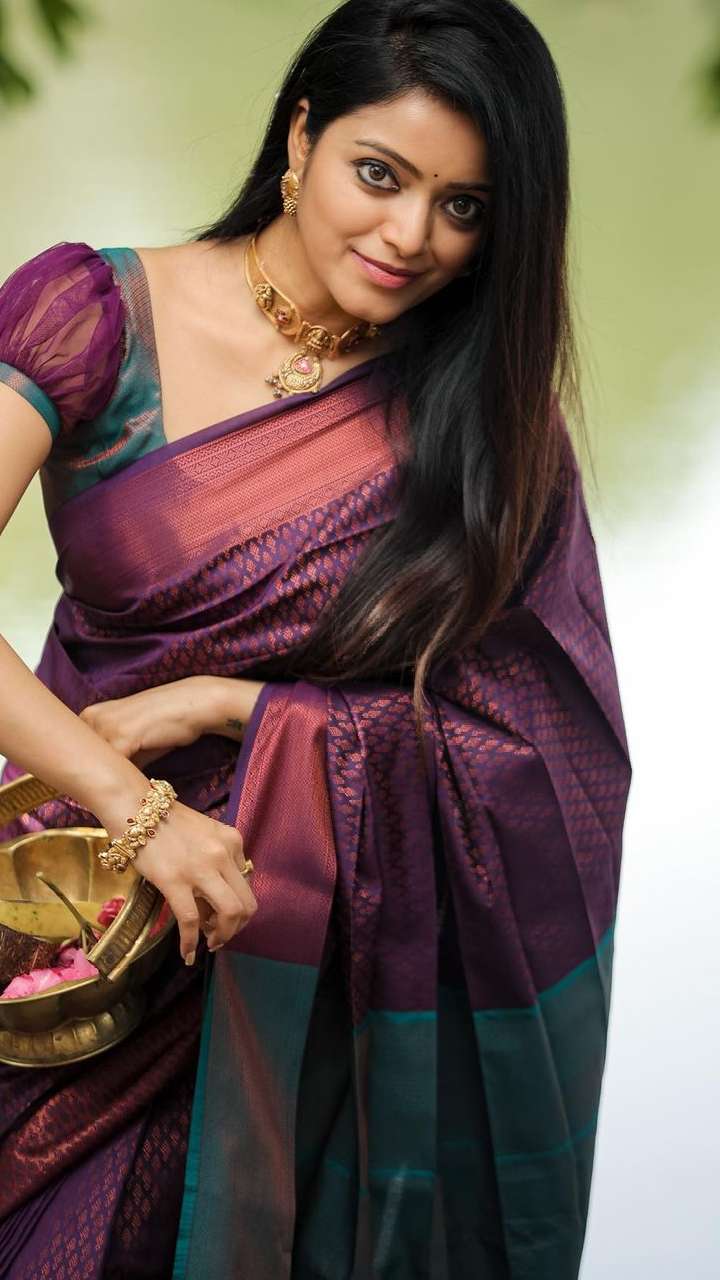 Janani Iyer Traditional Saree Looks | South Indian Actress