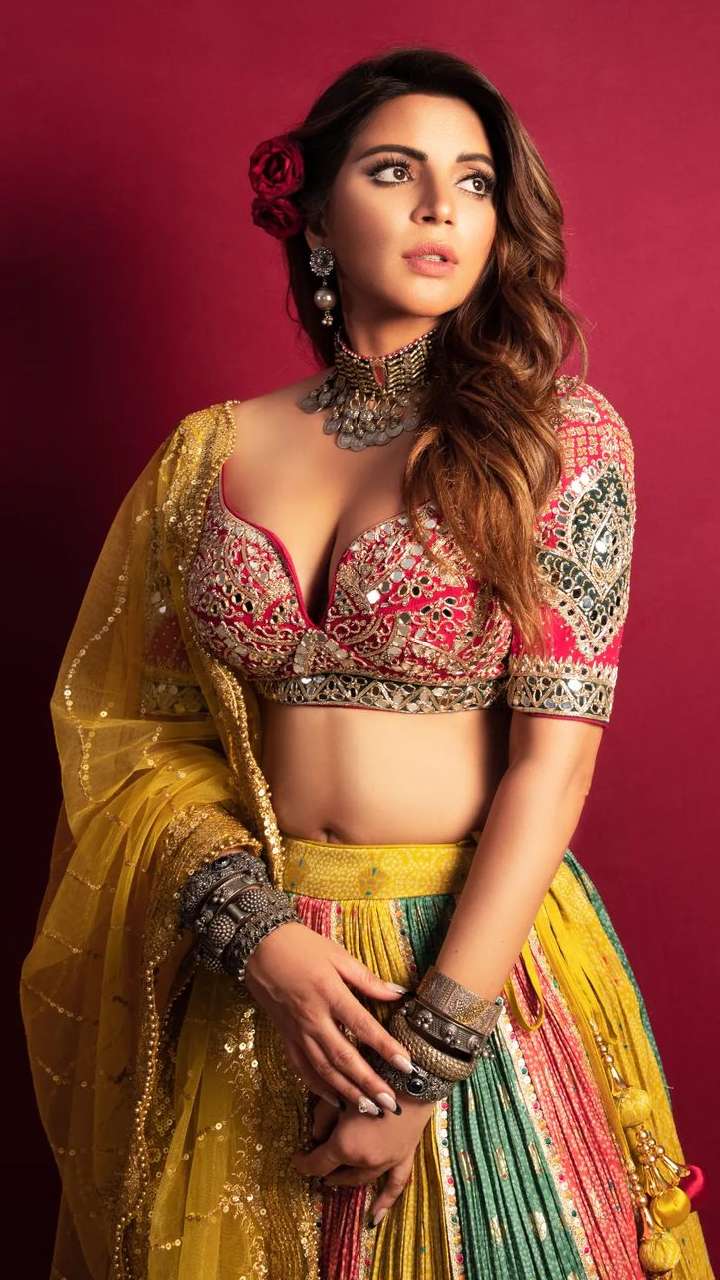 Shama Sikander Inspired Hottest Blouse Designs