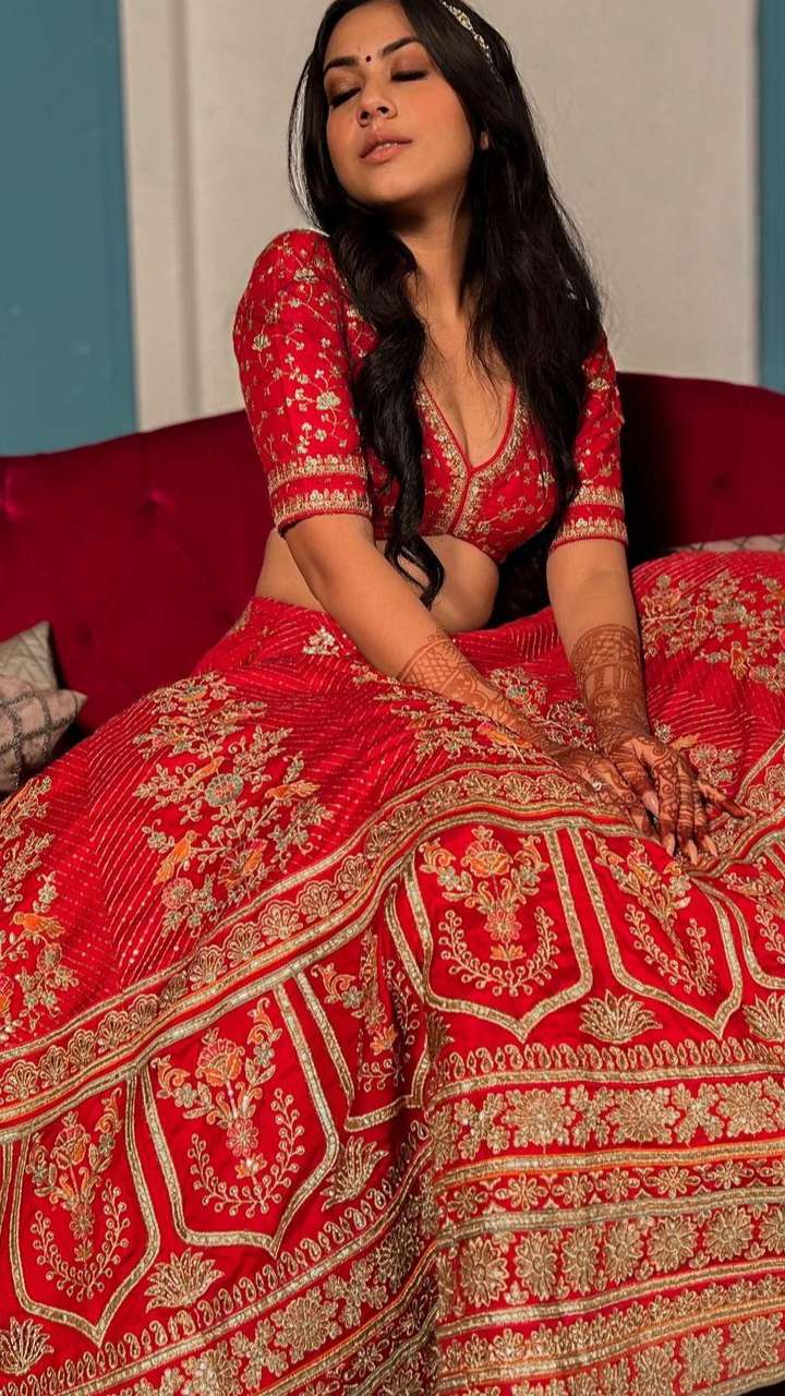Rubina Dilaik's Sister, Jyotika Turns 'Pahadi' Bride, Dons Red Lehenga With  A Unique Blue 'Dupatta'