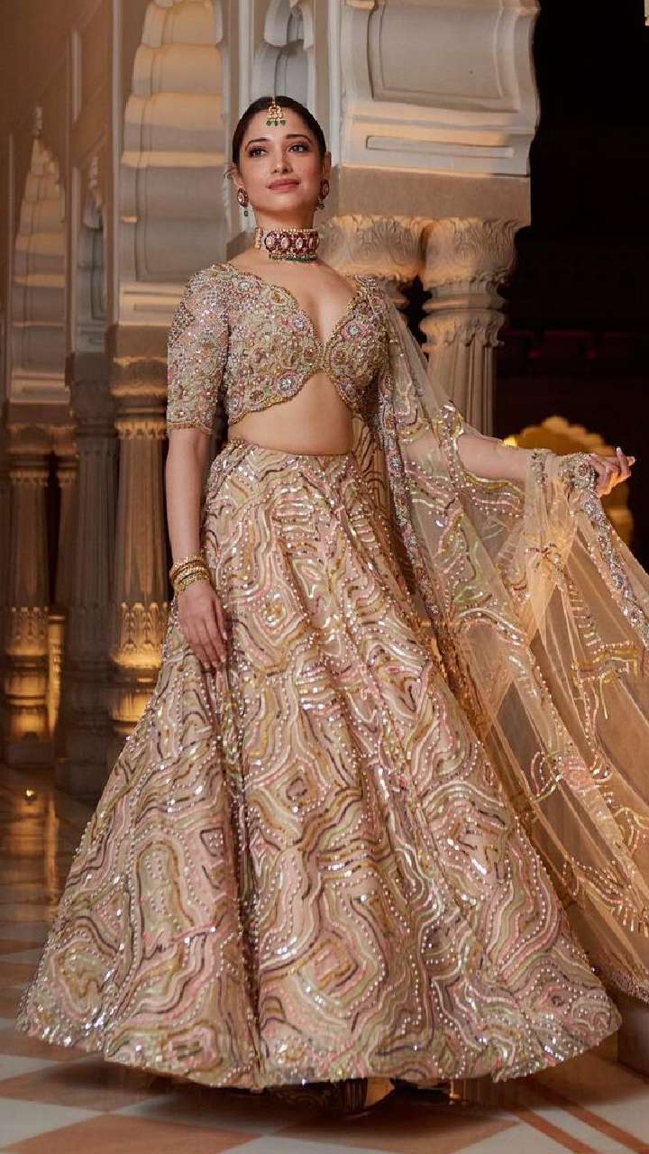 Pink Color Heavy Designer Lehenga For Engagement And Wedding – Joshindia |  lupon.gov.ph