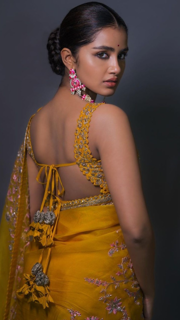 Anupama Parmeshwaram Looks Bold And Beautiful In These Stunning Sarees