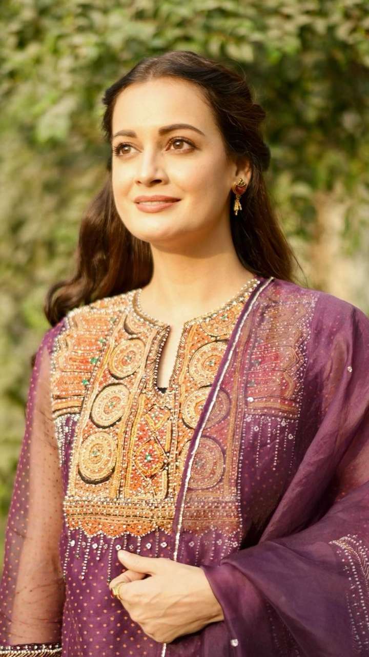 ByeBye2020: Lessons Dia Mirza learned while surviving the pandemic | Hindi  Movie News - Times of India
