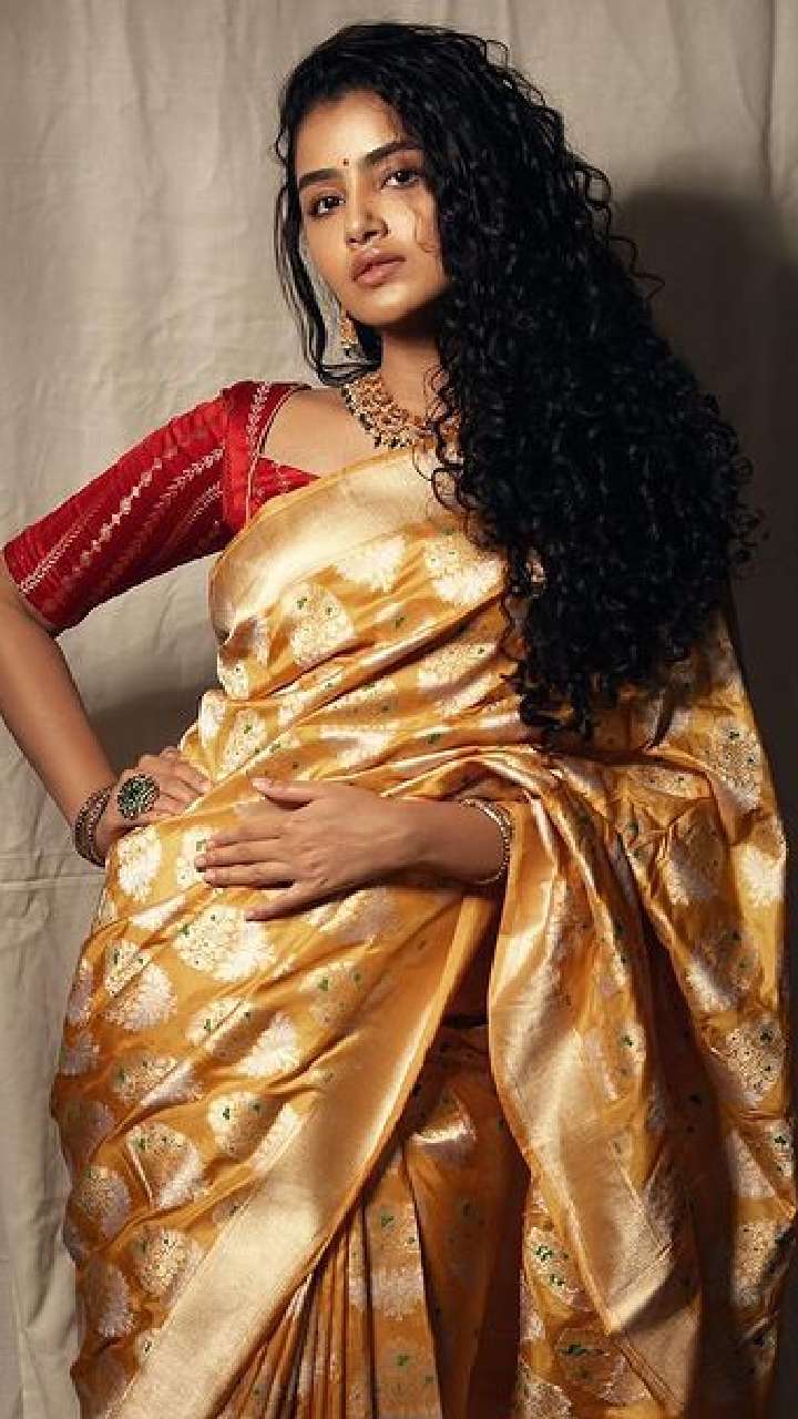 Anupama Parameshwaran's mind blowing saree pictures | Times of India