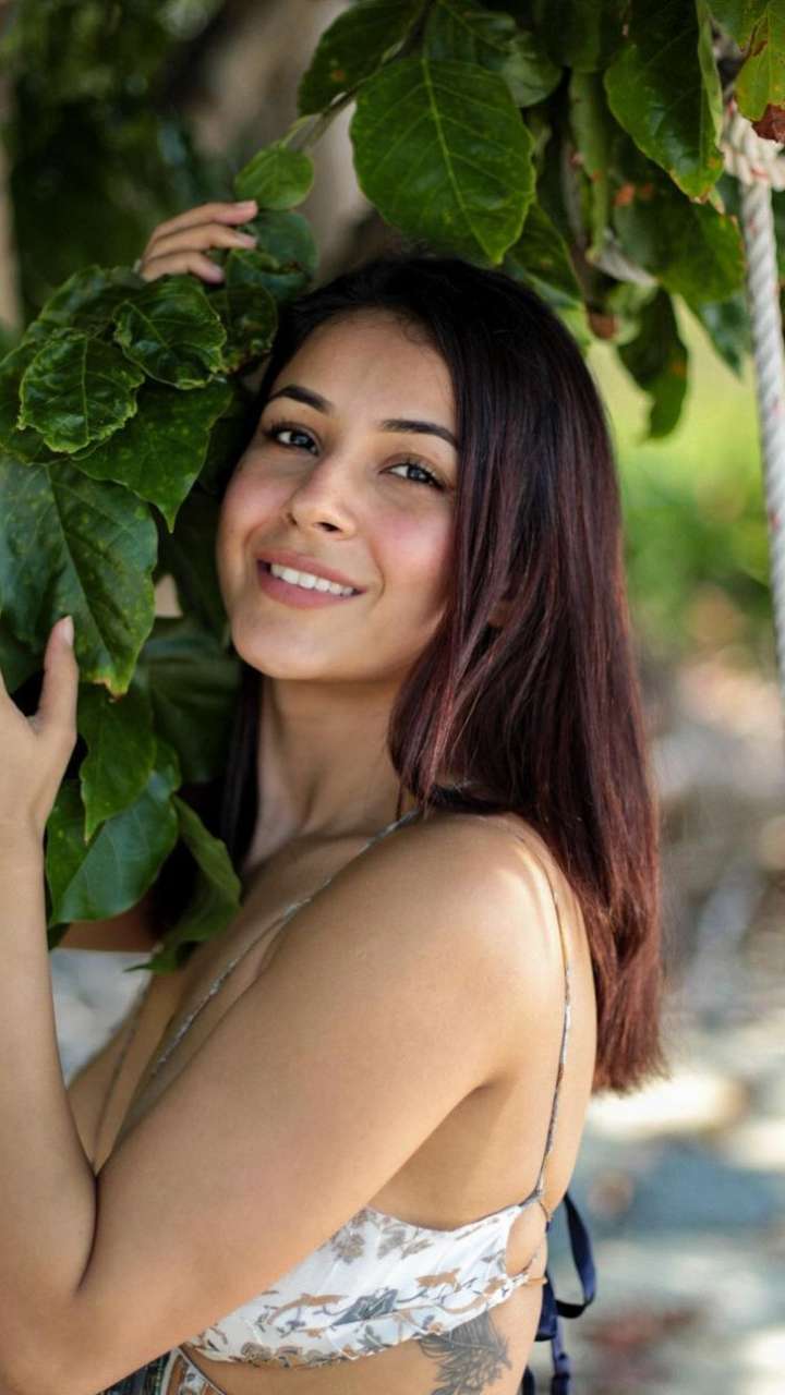 5 Best Detox Teas For Weight Loss Weight Loss Diet