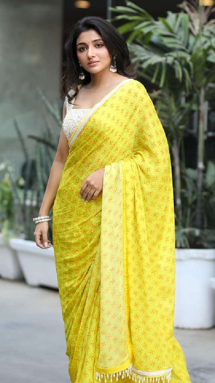 Mirnaa Menon Gorgeous Sarees For Festive Season