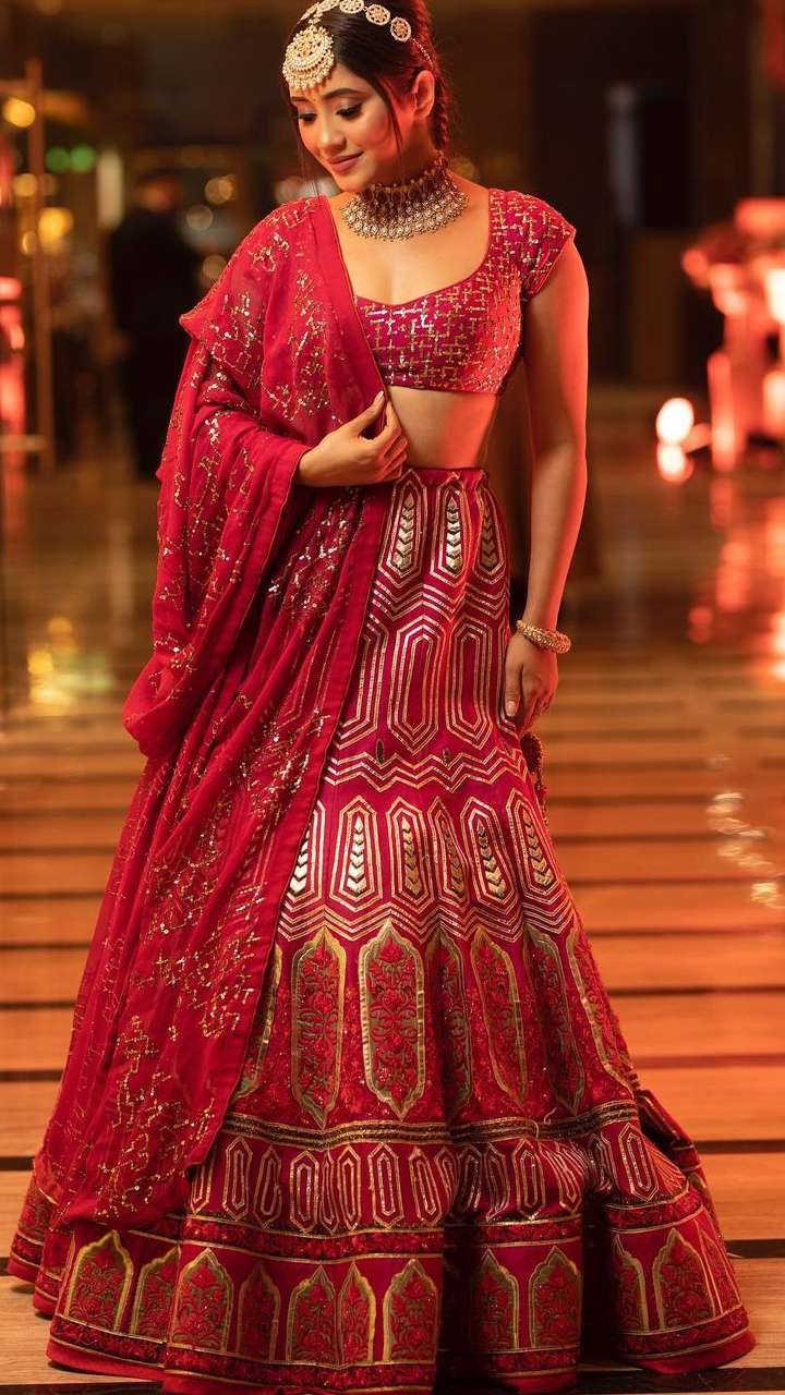 Rubina Dilaik, Tina Dutta and Shivangi Joshi keep ethnic poses on edge in  embellished lehenga cholis