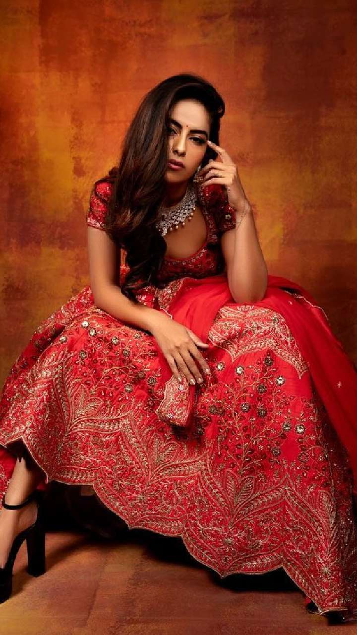 Indian Beautiful Bride Wearing Red Lehenga Sitting Pose Stock Photo,  Picture and Royalty Free Image. Image 74558261.