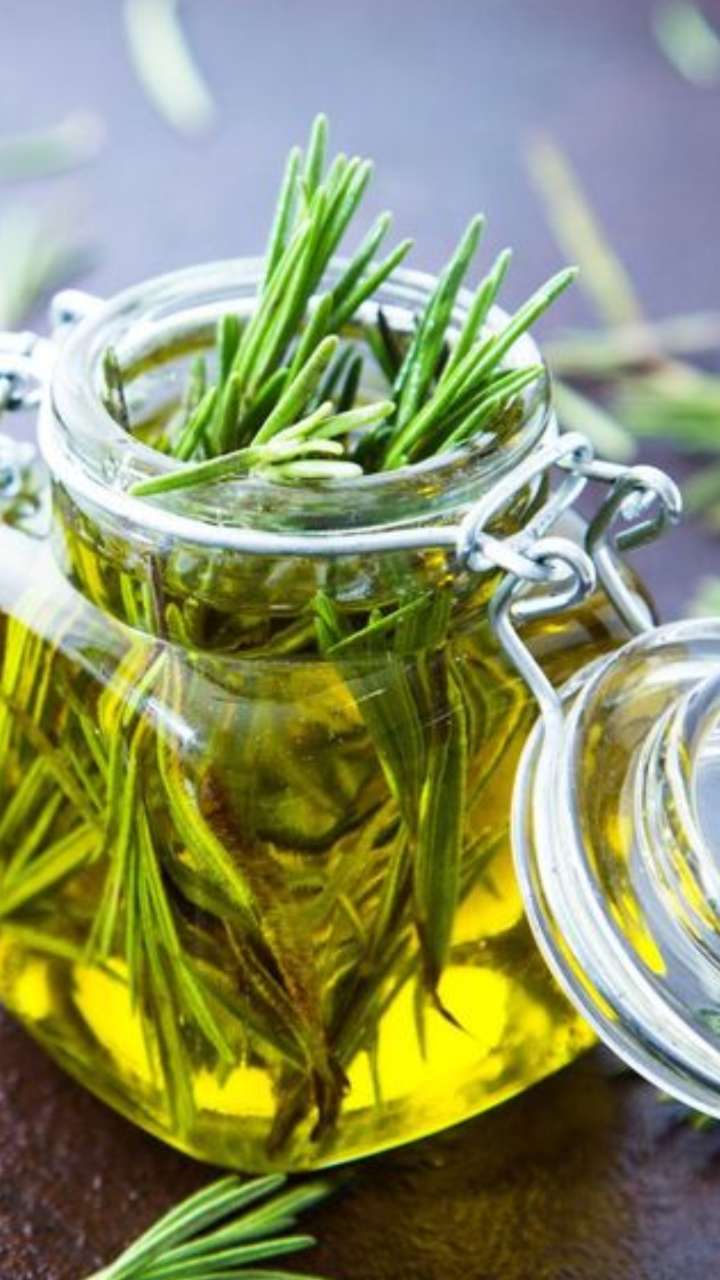 Top 5 Benefits Of Using Rosemary Oil For Hair 0462