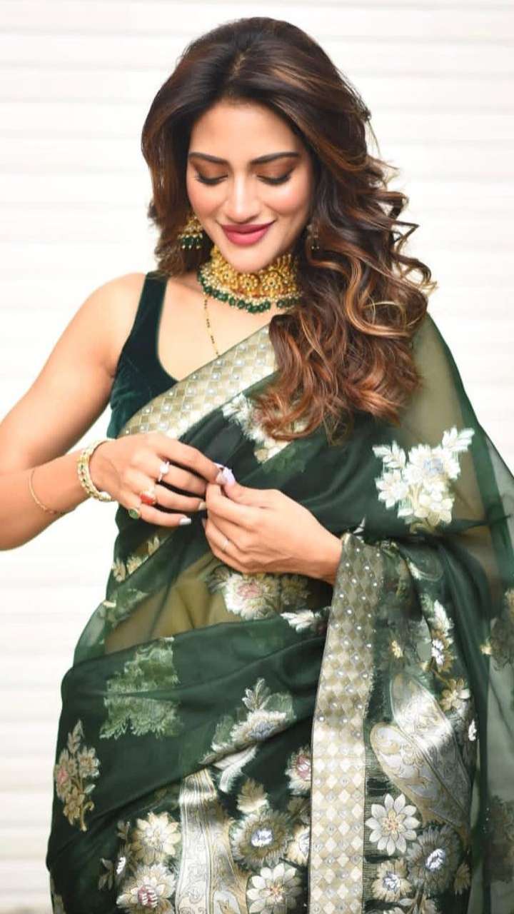 Nusrat Hand embroidered Saree main image 1