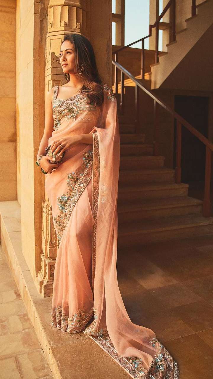 Trendy Peach Net saree - sr14172